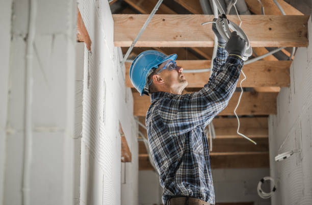 Best Electric Panel Repair  in Rock Falls, IL
